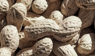 Anya likes peanuts ||✦